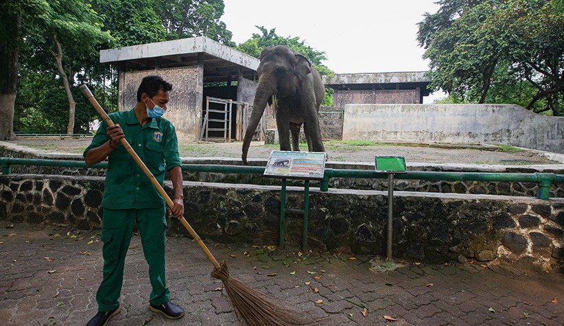 Mulai Besok Ragunan Dibuka, Catat Jadwal Operasional dan Cara Pembelian Tiket - Bagian 1