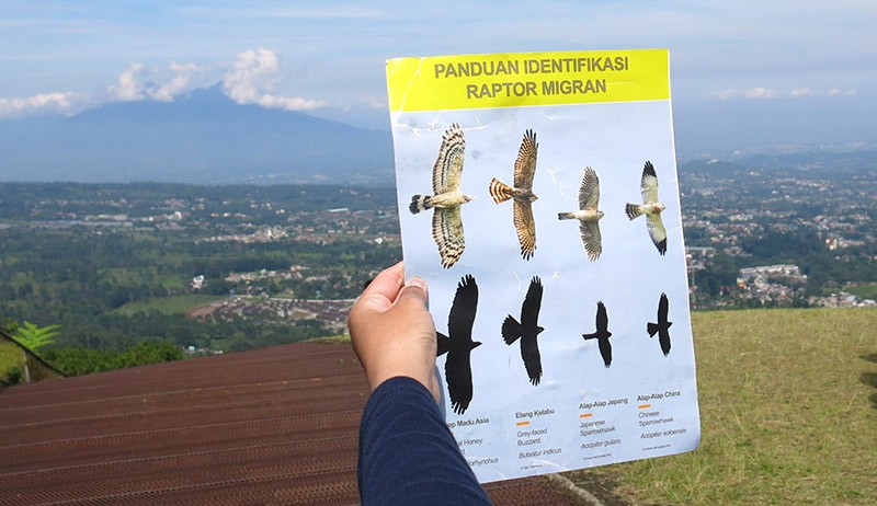 Mengamati Migrasi Burung Pemangsa di Kawasan Puncak Bogor - Bagian 3