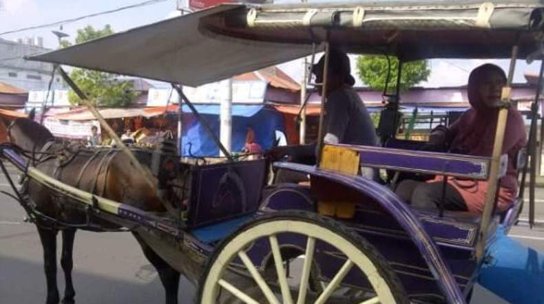 Alat Transportasi Dokar Masih Eksis di Salatiga, Begini Kata Penumpangnya  