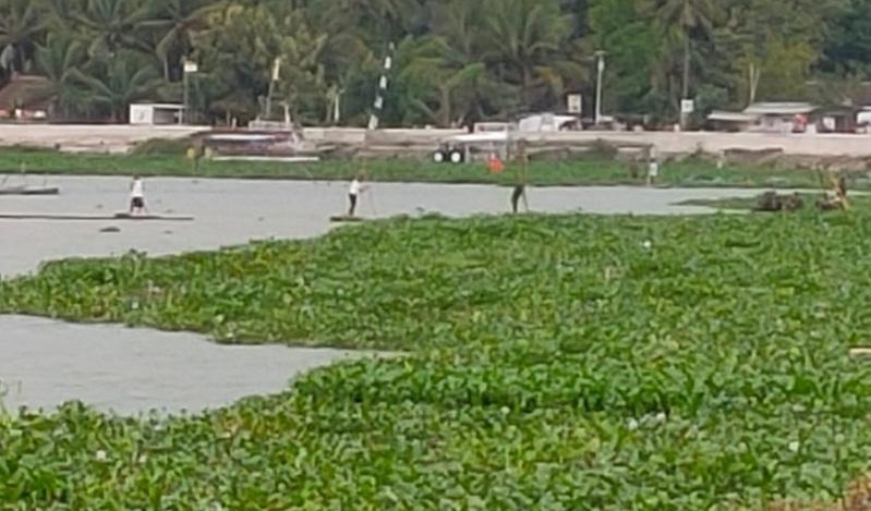 Tragis, Pemancing Ini Tenggelam di Rawa saat Mengejar Perahu yang Disewanya
