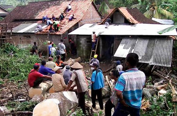Mitos Pohon Tumbang Warnai Perbaikan Rumah Warga di Gunungkidul