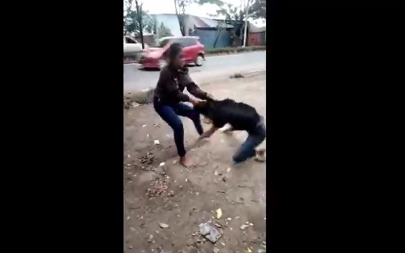 Tolak Ajakan Freestyle Motor di Jalan, Siswi SMA Ini Malah Dibully 9 Teman