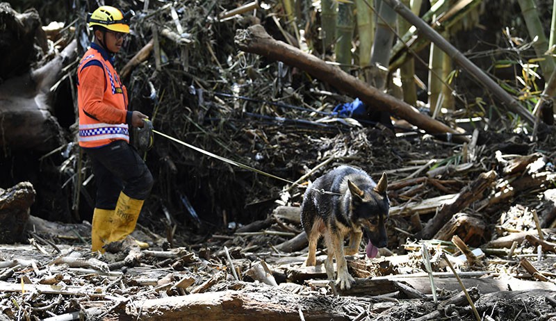 Tim SAR Kerahkan Anjing Pelacak Cari Korban Banjir Bandang Kota Batu - Bagian 1