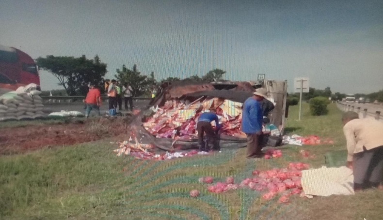 Tabrak Belakang, 2 Truk Terguling di Tol Cipali Purwakarta, 1 Luka-luka 