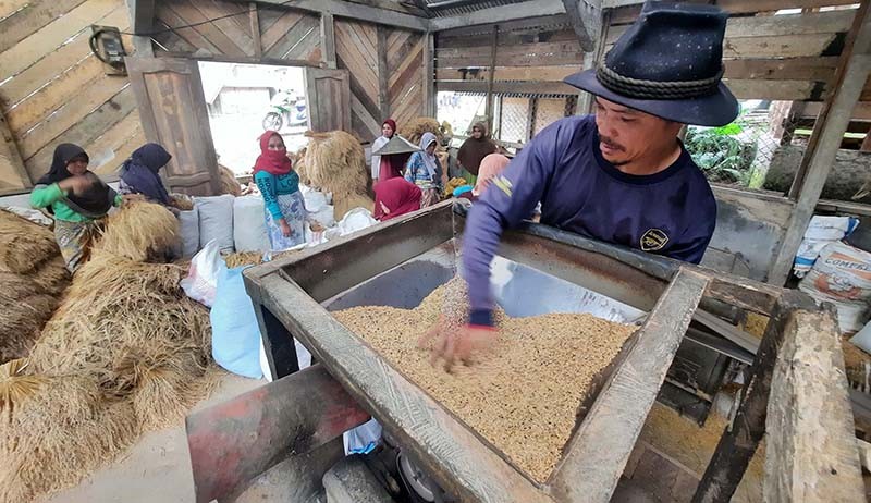 Warga Desa Citorek Tengah Tanam Padi untuk Ketahanan Pangan - Bagian 1