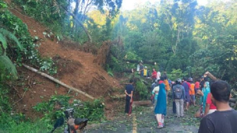 Hujan Deras Sebabkan Longsor di Pegunungan Battang Palopo