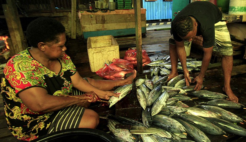 Ini Penyebab Harga Ikan Cakalang Naik Menjadi Rp100.000 per Ekor - Bagian 3