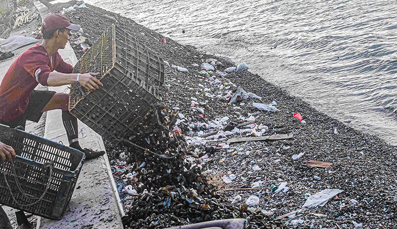 Kurang Edukasi, Warga Pesisir Jakarta Buang Limbah Kerang Hijau di Tepi Laut - Bagian 1