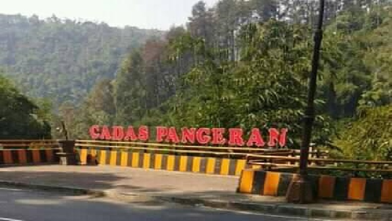 Hujan Deras dan Angin Kencang, 2 Pohon Pinus Tumbang di Cadas Pangeran Sumedang