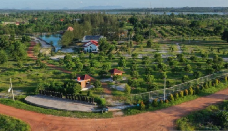 Sepanjang 2021, PT Timah Reklamasi 400,51 Hektare Bekas Tambang di Babel 