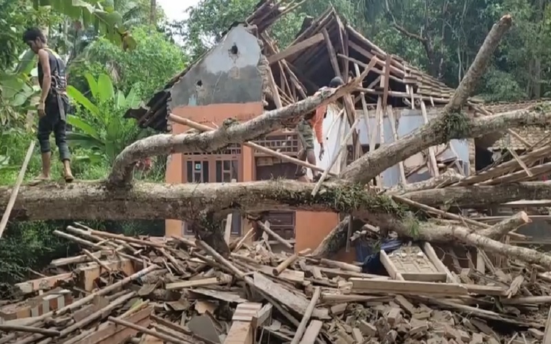 Pohon Durian Tumbang Timpa Rumah Warga hingga Hancur di Pandeglang