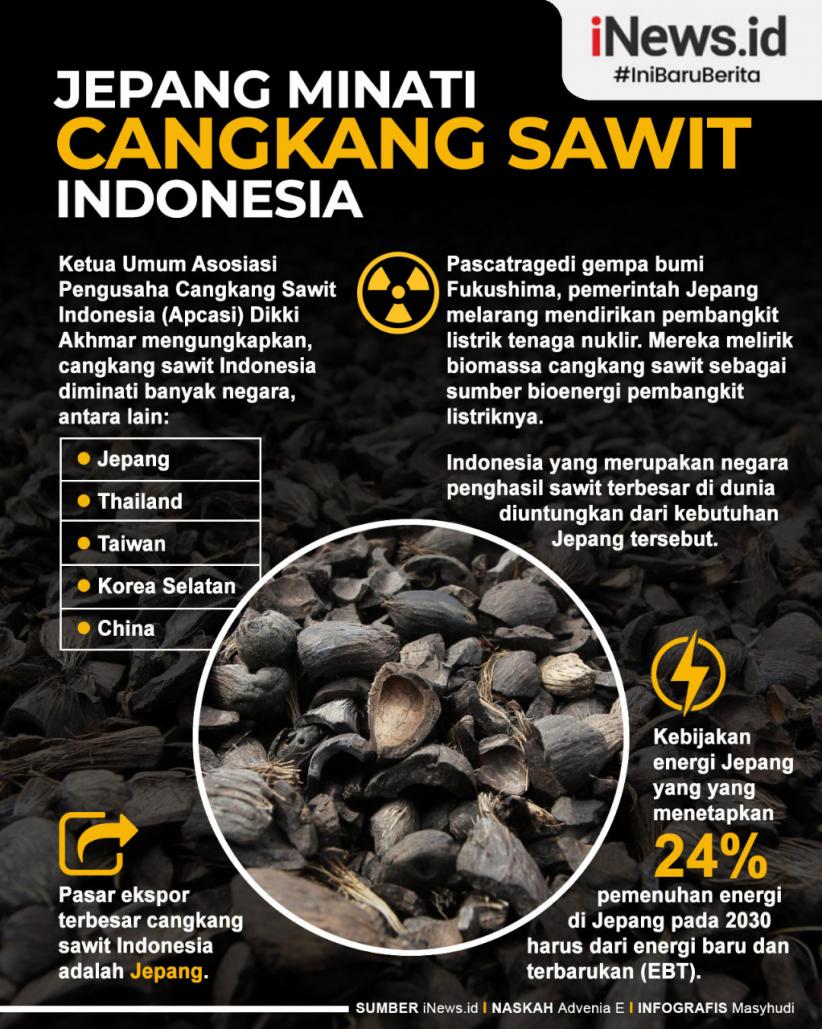 Infografis Jepang Minati Cangkang Sawit Indonesia
