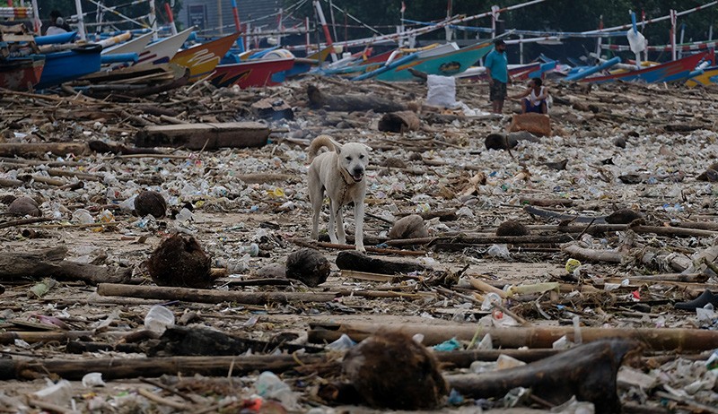 Dampak Cuaca Ekstrem, Sampah Berserakan di Pesisir Pantai Bali - Bagian 3