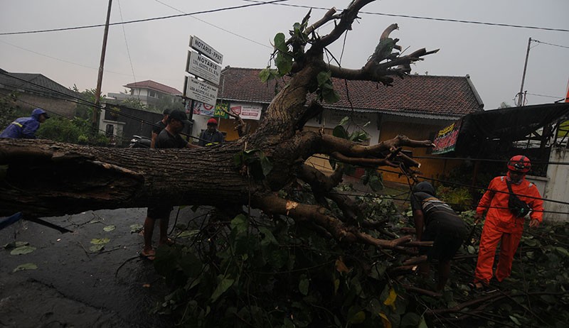 BMKG Imbau Masyarakat Waspada Potensi Hujan Lebat dan Angin Kencang - Bagian 2