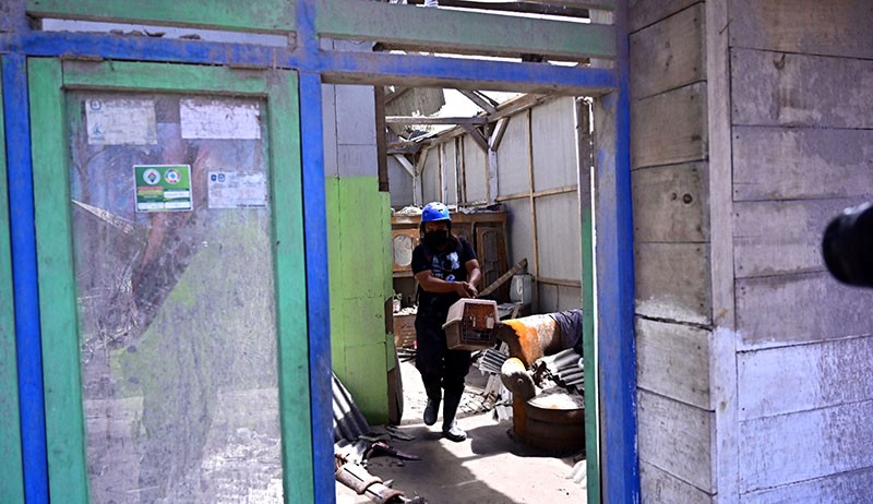Selamatkan Hewan yang Tertinggal, Relawan Sisir Rumah Warga Gunung Semeru - Bagian 1