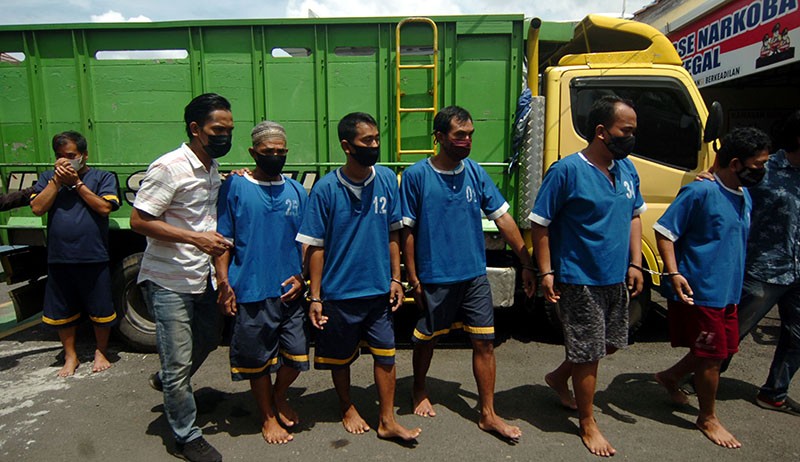 Komplotan Spesialis Pencuri Kerbau Ditangkap Satreskrim Polres Tegal - Bagian 1