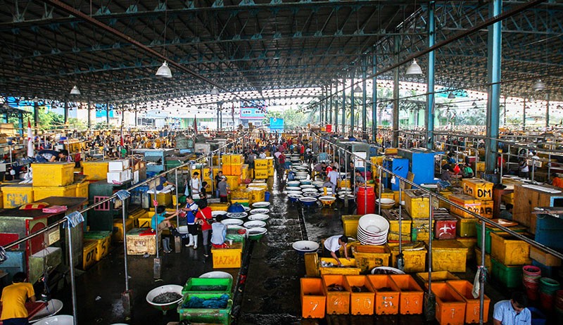 Melihat Aktivitas Pedagang Pasar Ikan Muara Angke yang Tak Pernah Putus - Bagian 1