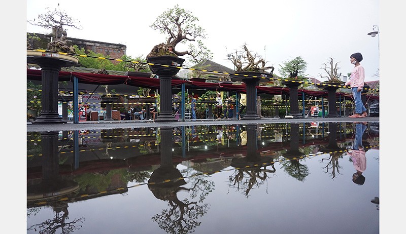229 Tanaman Bonsai Dipamerkan di GOR Lembupeteng - Bagian 2