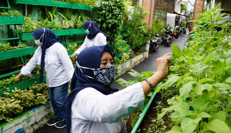 Kelompok Wanita Tani KBA Karina bersama Karyawan Asuransi Astra Membuat Urban Farming - Bagian 2