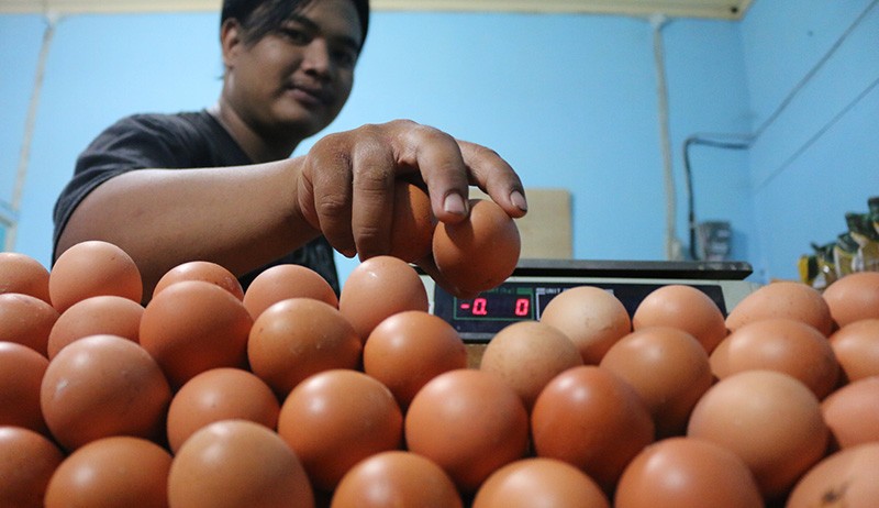 Harga Telur di Bantul Masih Terpantau Tinggi, Cabai Mulai menurun