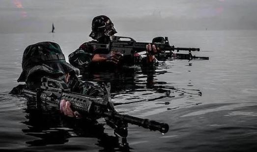 Pengamanan Jokowi di Kiev Ukraina, Danpaspampres: Ada Kopassus, Denjaka dan Paskhas