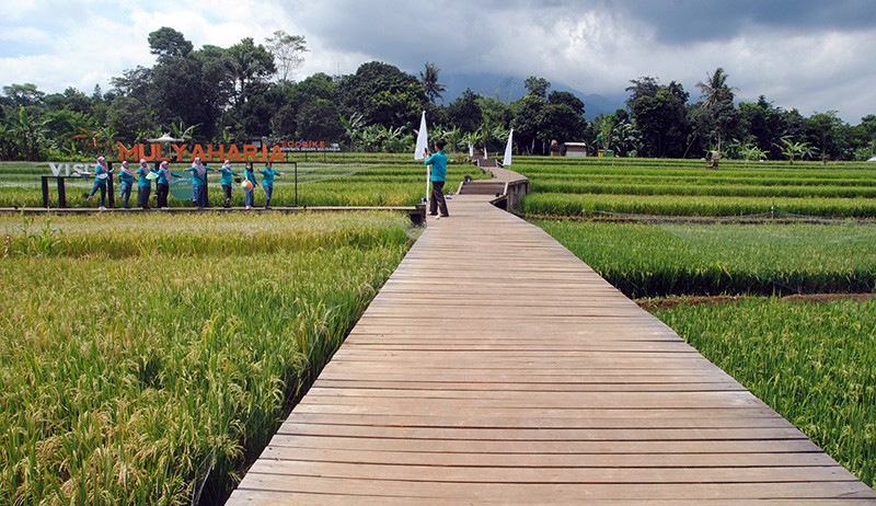 Kampung Wisata Tematik Mulyaharja Sajikan Pemandangan Sawah dan Gunung Salak - Bagian 1