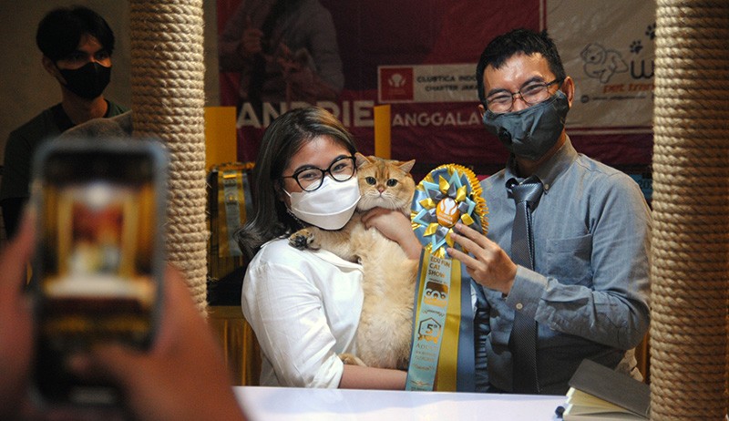 Kontes Kucing Ras Nasional - Bagian 2