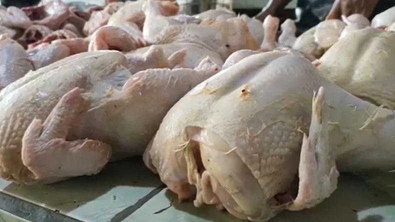 Polisi Gerebek Pembuat Bakso Berbahan Daging Ayam Tiren di Bantul
