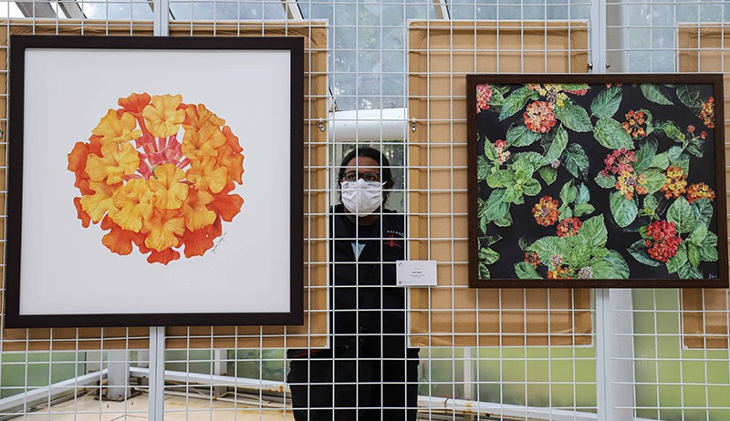 Pameran Seni Kontemporer Jakarta Biennale di Rumah Kaca Taman Menteng - Bagian 2