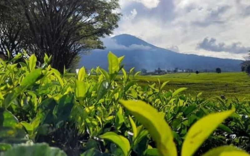Daftar Kota Paling Sepi di Indonesia, Nomor 5 Tujuh Jam dari Palembang