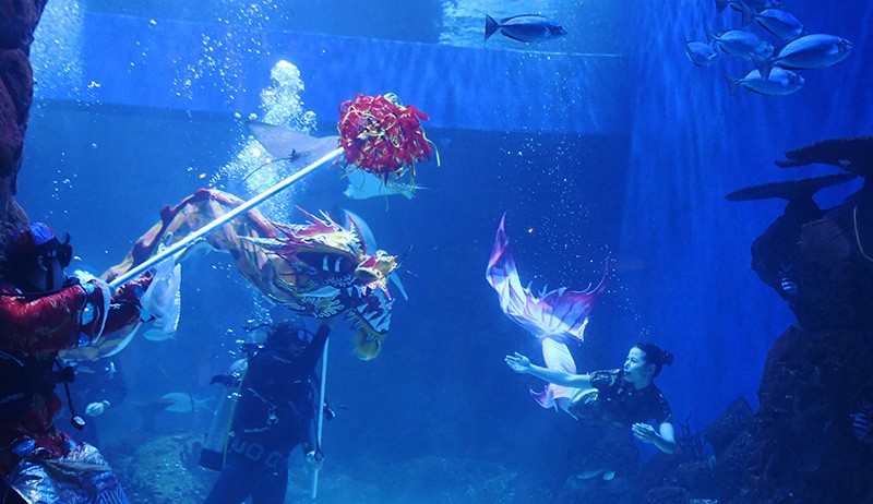 Aksi Liong Menari bersama Putri Duyung di Kolam Akuarium Raksasa - Bagian 1