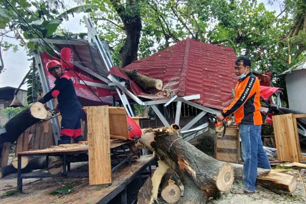  Hujan Deras dan Angin Kencang Juga Terjang Bantul, Belasan Pohon Tumbang