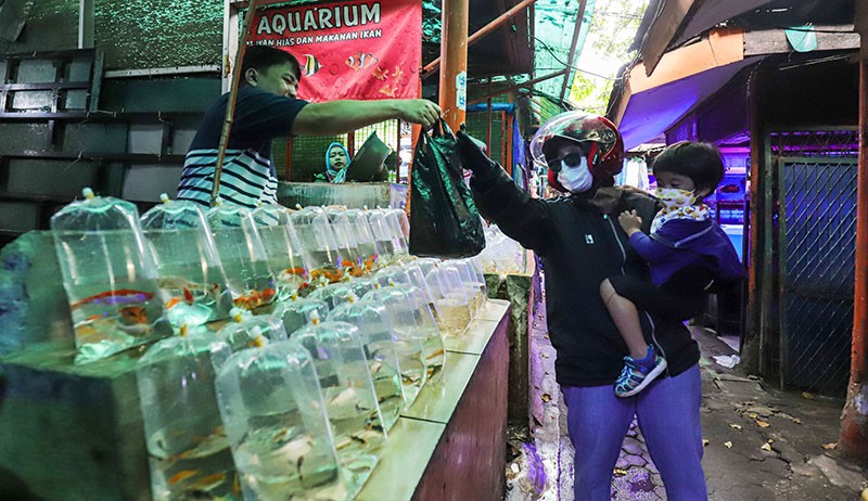 Mengunjungi Surga Tersembunyi Pasar Ikan Hias Sumenep - Bagian 2