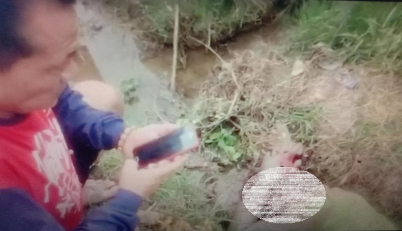 Diamuk Massa, Pencuri Motor Terkapar di Sawah Desa Gempolsari Subang