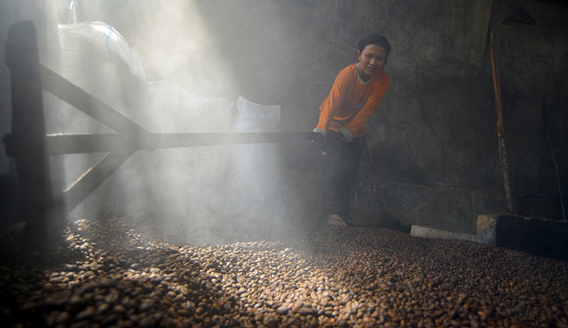 Mengunjungi Kampung Kopi di Nagari Koto Tuo Sumatera Barat - Bagian 1