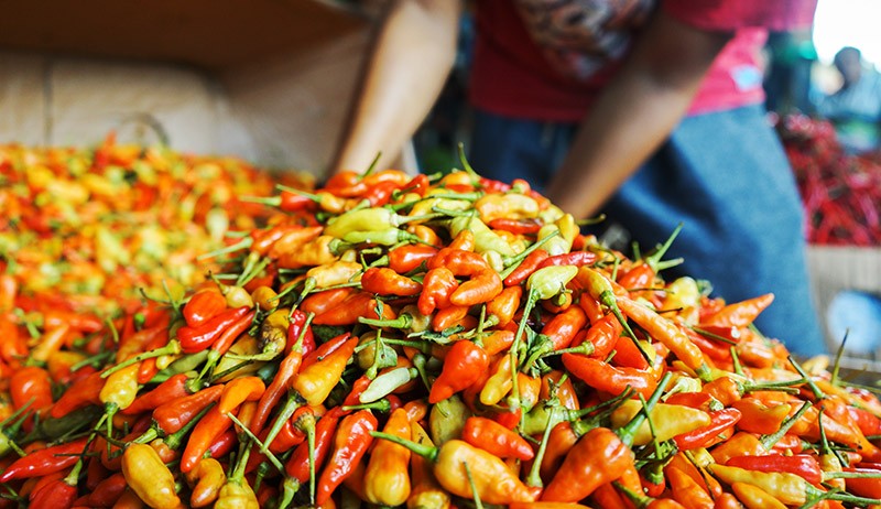 Harga Cabai Merah Naik Lagi, Kini Rp60.000 per Kilogram - Bagian 1