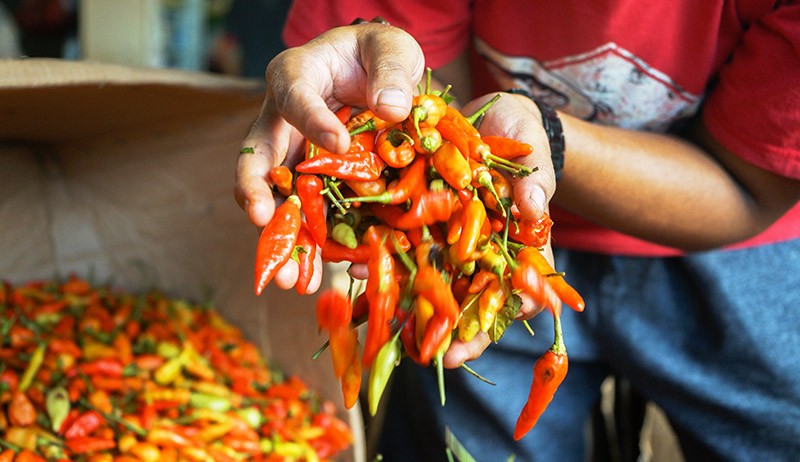 Harga Cabai Merah Naik Lagi, Kini Rp60.000 per Kilogram - Bagian 2