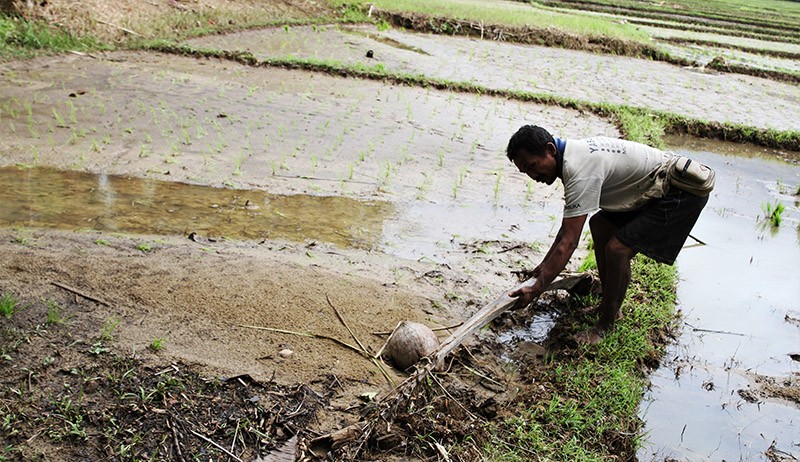 Kali Meluap, 18 Hektare Lahan Pertanian di Buton Tertutup Pasir - Bagian 2