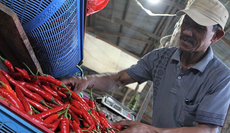 Cuaca Buruk, Harga Cabai Naik Drastis - Bagian 2