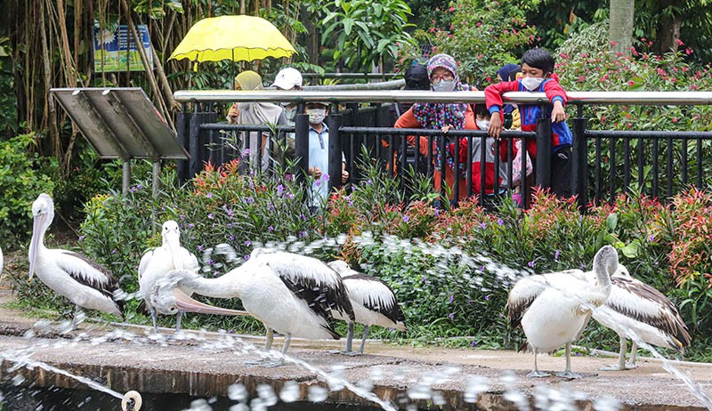 Mengisi Libur Isra Miraj dengan Mengunjungi Taman Margasatwa Ragunan - Bagian 3