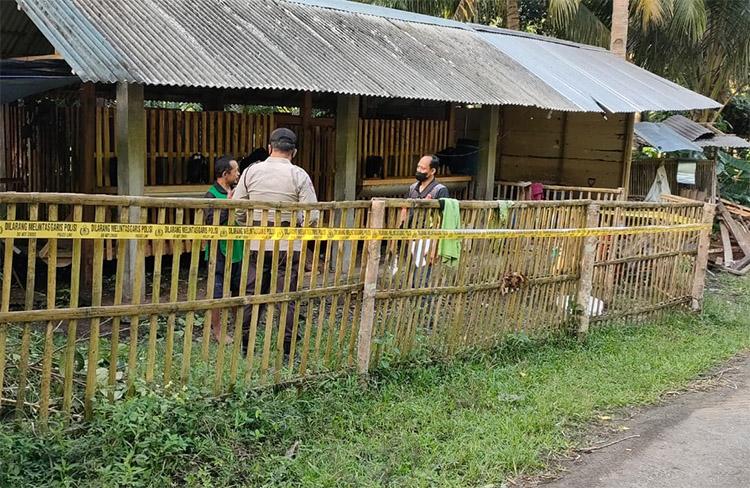 Geger, Pencuri Gondol 4 Kambing Milik Warga Kulonprogo