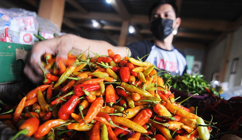 Menyusul Tahu dan Tempe, Harga Cabai Ikut Naik - Bagian 1