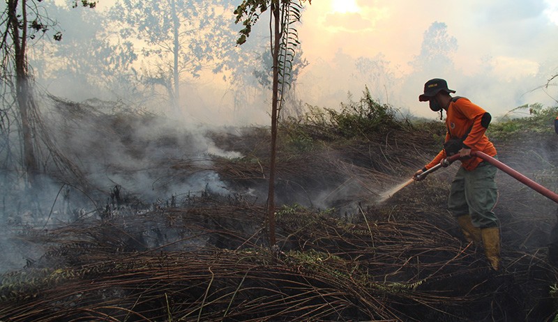 Kebakaran Hutan dan Lahan Dekat Permukiman Warga di Pontianak - Bagian 2