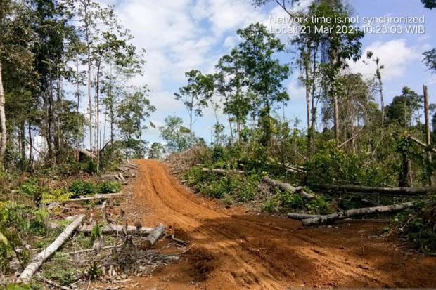  Polres Mukomuko Selidiki Kabar Jual Beli Kawasan Hutan Habitat Gajah 