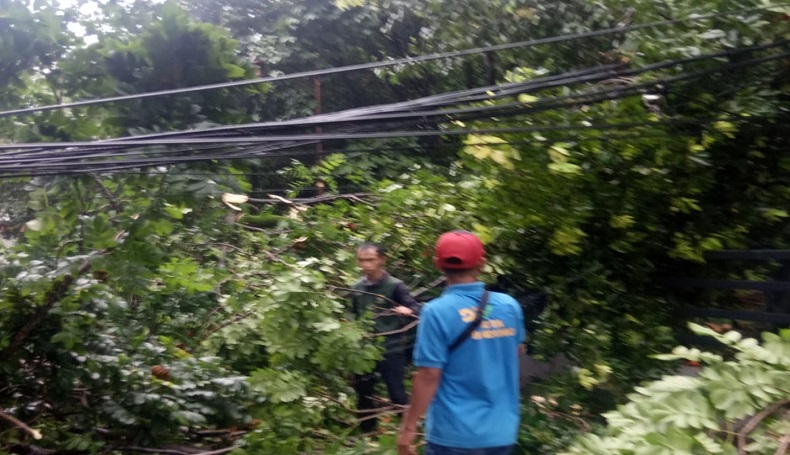 Cuaca Ektrem Landa Bandung, Hujan Es Terjang Cicadas dan Antapani