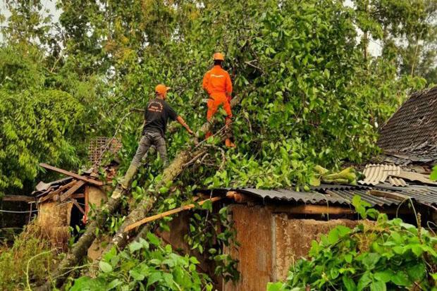  654 Jiwa di 4 Dusun Terdampak Angin Kencang di Gunungkidul 