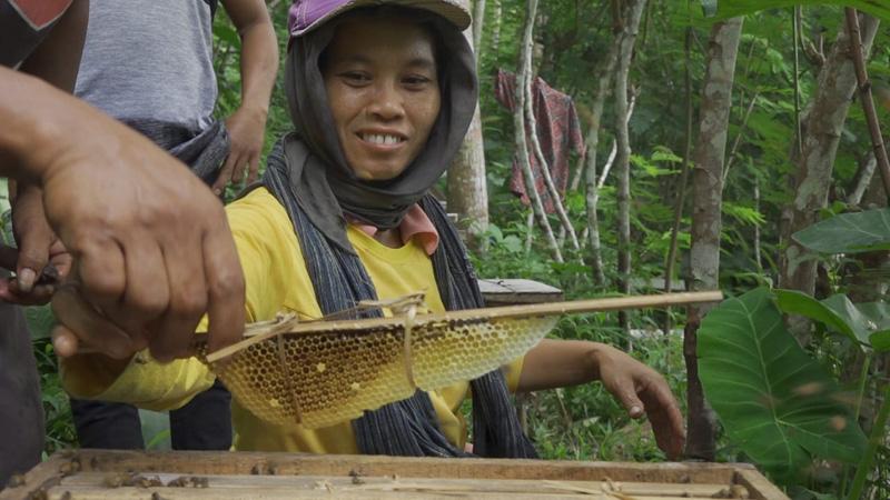 Numpang Promo di Lapak Ganjar, Madu Lokal di Borobudur Ini Tembus Pasar Dunia