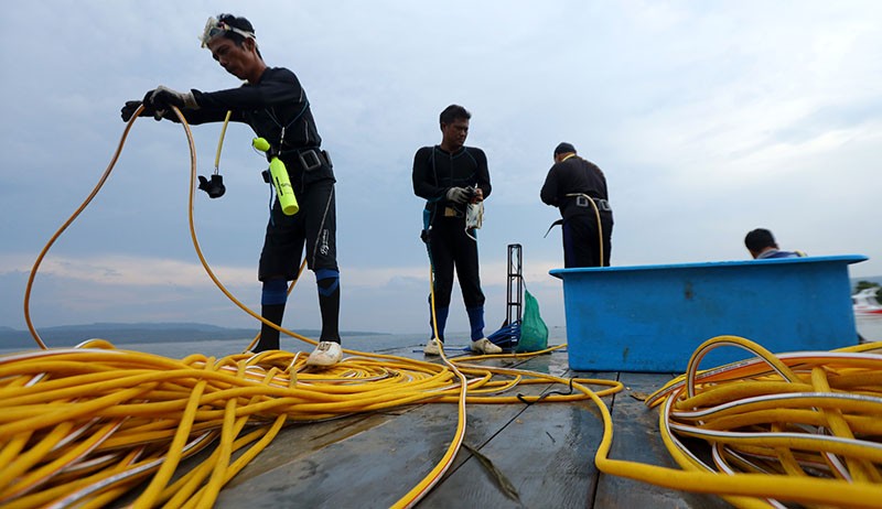 Budi Daya Lobster Kesulitan Dapat Benih - Bagian 3