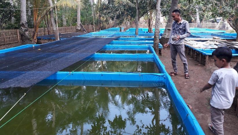 Unik! Desa di Boyolali Ini Dijuluki Kampung Lele, Begini Sejarahnya