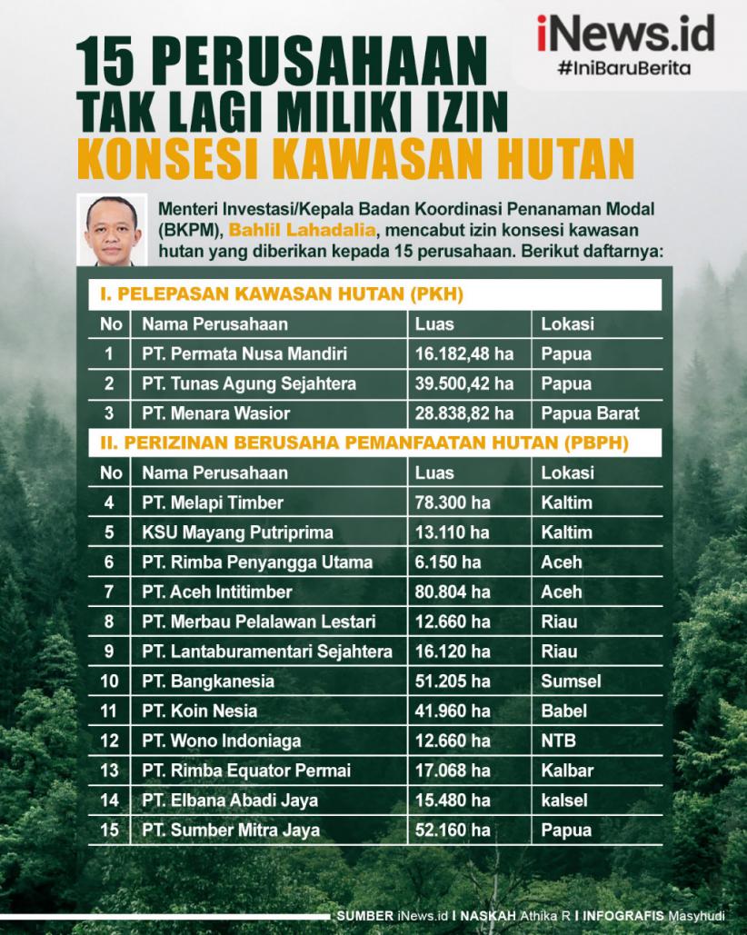 Infografis 15 Perusahaan yang Tak Lagi Miliki Izin Konsesi Kawasan Hutan